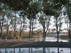 -沙家浜风景区