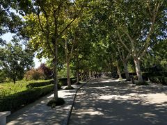 -赵州桥景区