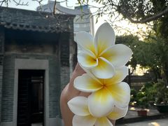 -碧江金楼