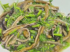 -乔家栅(襄阳南路店)