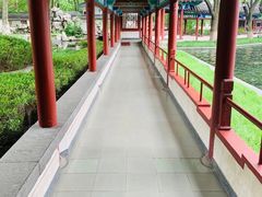 -百脉泉景区