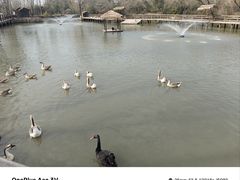 -溱湖国家湿地公园