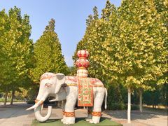 -永定河休闲森林公园