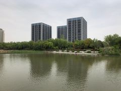 -南翔镇银翔湖公园