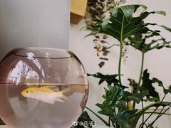 -隹木咖啡馆(宝龙广场店)