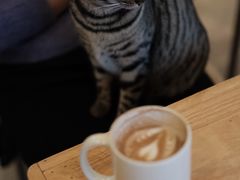 -青莯_Percher Coffee Shop(皮市街店)