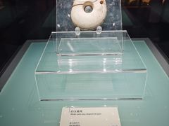 -辽宁省博物馆