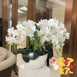 -恒妍医美·韩国定制抗衰中心