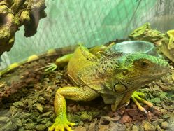 -Zoolung Zoolung动物主题公园(海信广场店)