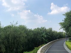 -立新湖公园
