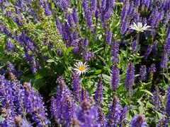 -汉长安城未央宫国家考古遗址公园