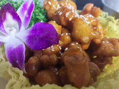 -天天向上素食餐厅(五台山店)