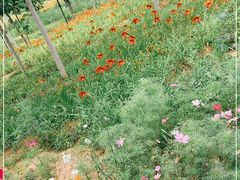 -秦皇岛野生动物园