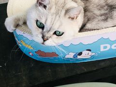 -小时光咖啡馆(北锣鼓巷店)