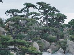 -罗红摄影艺术馆