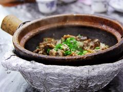 -红星光发煲仔饭(大石街店)