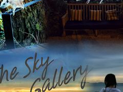 -网红落日悬崖餐厅 The Sky Gallery