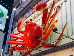 -蟹道乐(道顿堀本店)