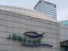 -上海海洋水族馆