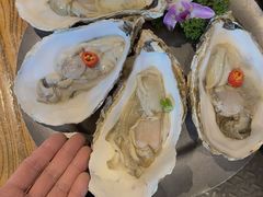 -KAOKAO烤烤·丹东海鲜烧烤(望京店)