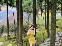 -玉苍山国家森林公园