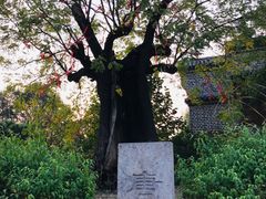 -观唐（国际）度假村温泉