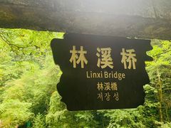 -西岭雪山大飞水景区