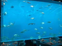 -瑞德姆美人鱼海底演艺主题餐厅(亚龙湾店)