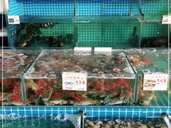 水产区-叶姐海鲜(棋子湾店)