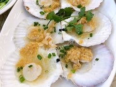 蒜蓉粉丝扇贝-轩记海鲜餐厅·四十五年老字号·经典粤菜(西区彩虹店)