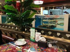 -7号院家宴.烧鸽子(门头沟店)