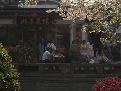 -苏妃奶酪(平江路店)