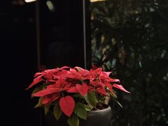 -广州花园酒店