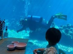 -海棠湾洲际-涛·海底餐厅·美人鱼·自助餐·海底隧道