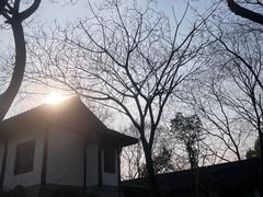 -中国茶叶博物馆(双峰馆区)