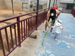 -西霞口神雕山野生动物世界