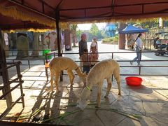 -龙谷湾旅游休闲度假区