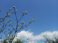 -山王坪喀斯特国家生态公园