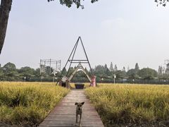 -金稼园·金平湖农家菜