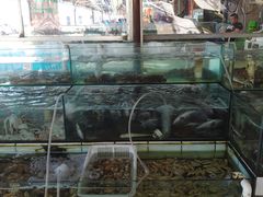 水产区-海香园饭店