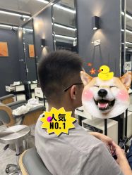 点击看大图 -藤野造型烫发染发