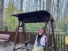 -合肥滨湖国家森林公园