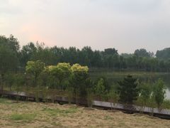 -东郊湿地公园
