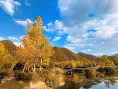 -贵阳市花溪国家城市湿地公园