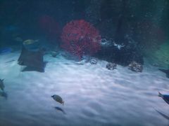 -沈阳海洋探索中心