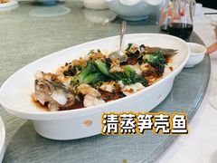 清蒸笋壳鱼-博多新记·粤菜(复兴店)