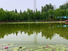 -团结湖公园