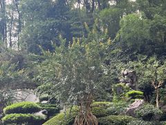 -南山植物园