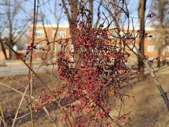 -国家植物园南园