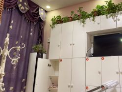 -香薇妮丝·定制减肥·身材管理